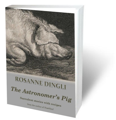 The astronomer's pig cover
